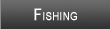 Stockton Lake Fishing